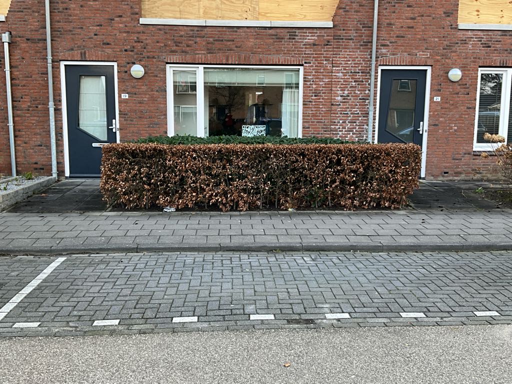 Kastanjelaan 19, 3241 BH Middelharnis, Nederland