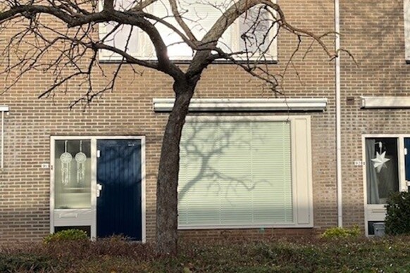 Rembrandtlaan 91