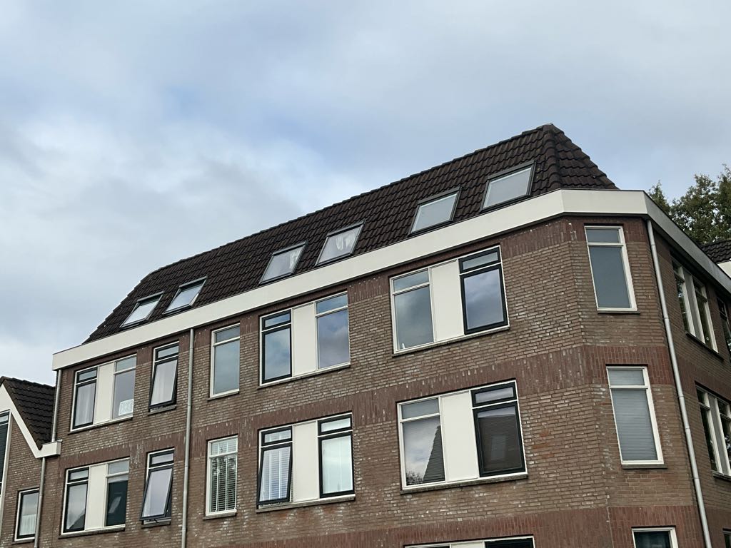 Lijster 38