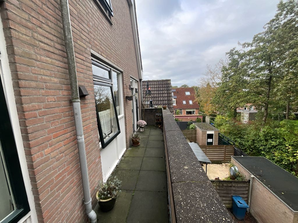 Lijster 38