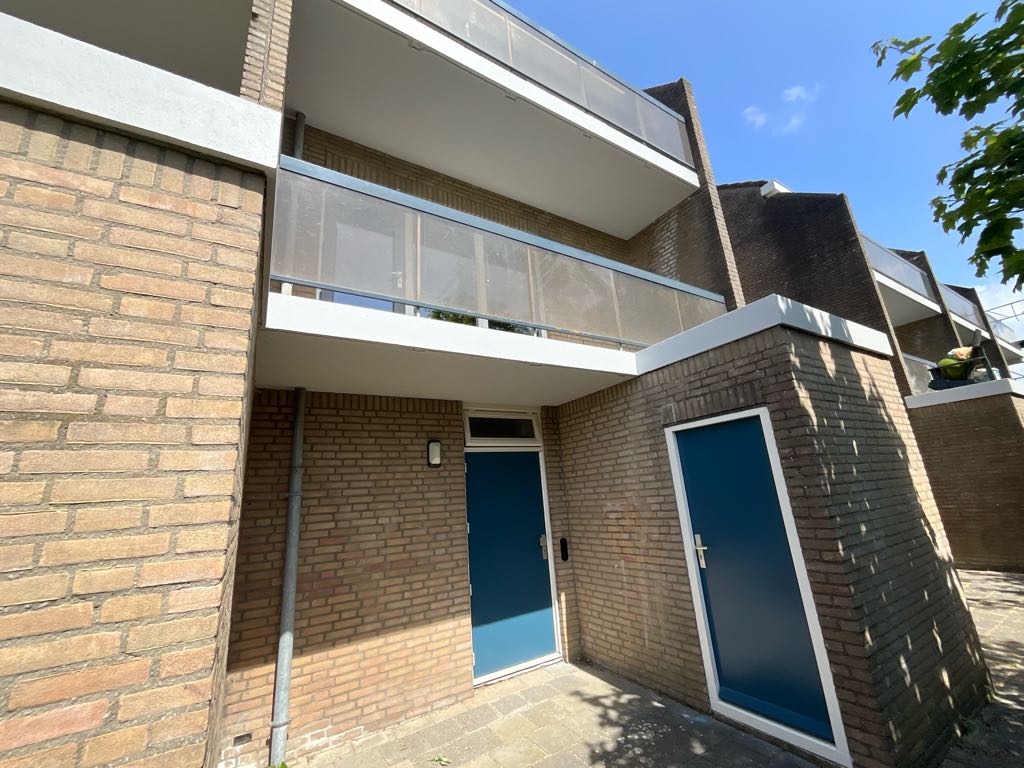 Reiger 43
