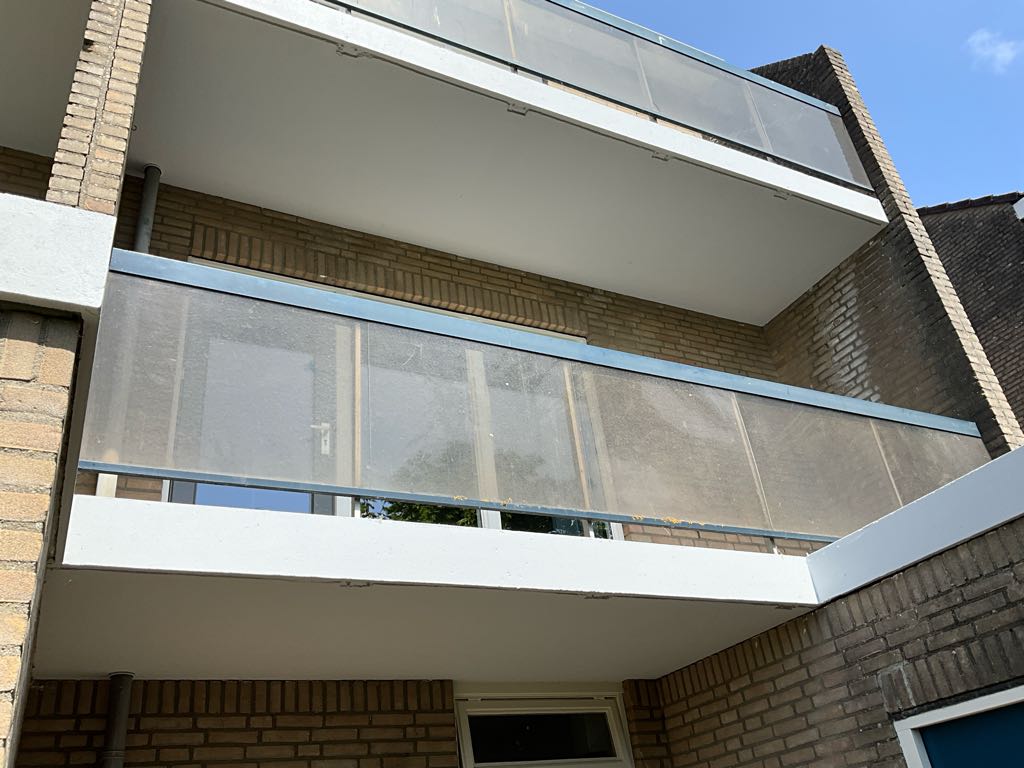 Reiger 43