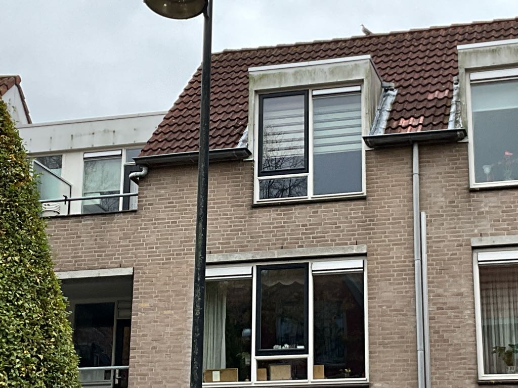 Beneden Zandpad 45, 3241 GA Middelharnis, Nederland