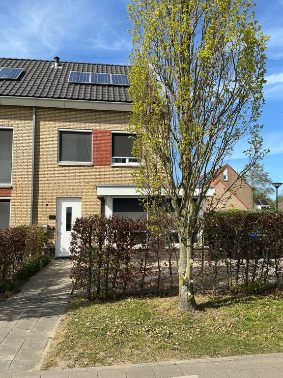 Molenweg 2, 3241 LH Middelharnis, Nederland