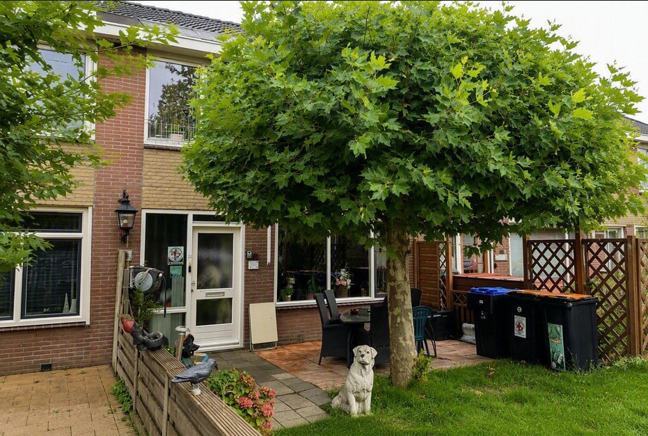 Lincolnplein 3, 3255 XG Oude-Tonge, Nederland